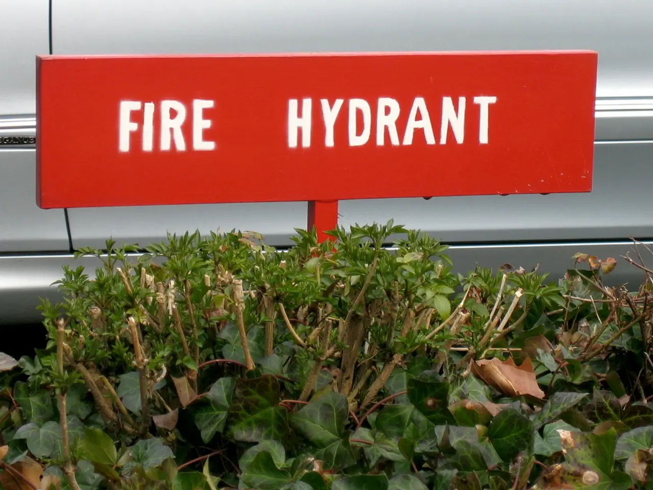 Achieving Vibrant Purple Hydrangea Blooms: A Gardening Guide