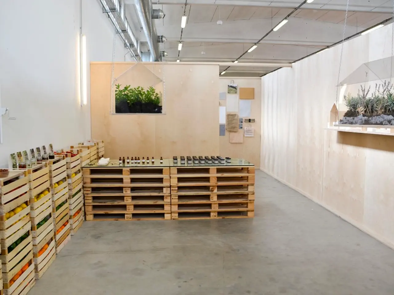 Terrarium Illumination: Top Picks for Natural and Artificial Grow Lights