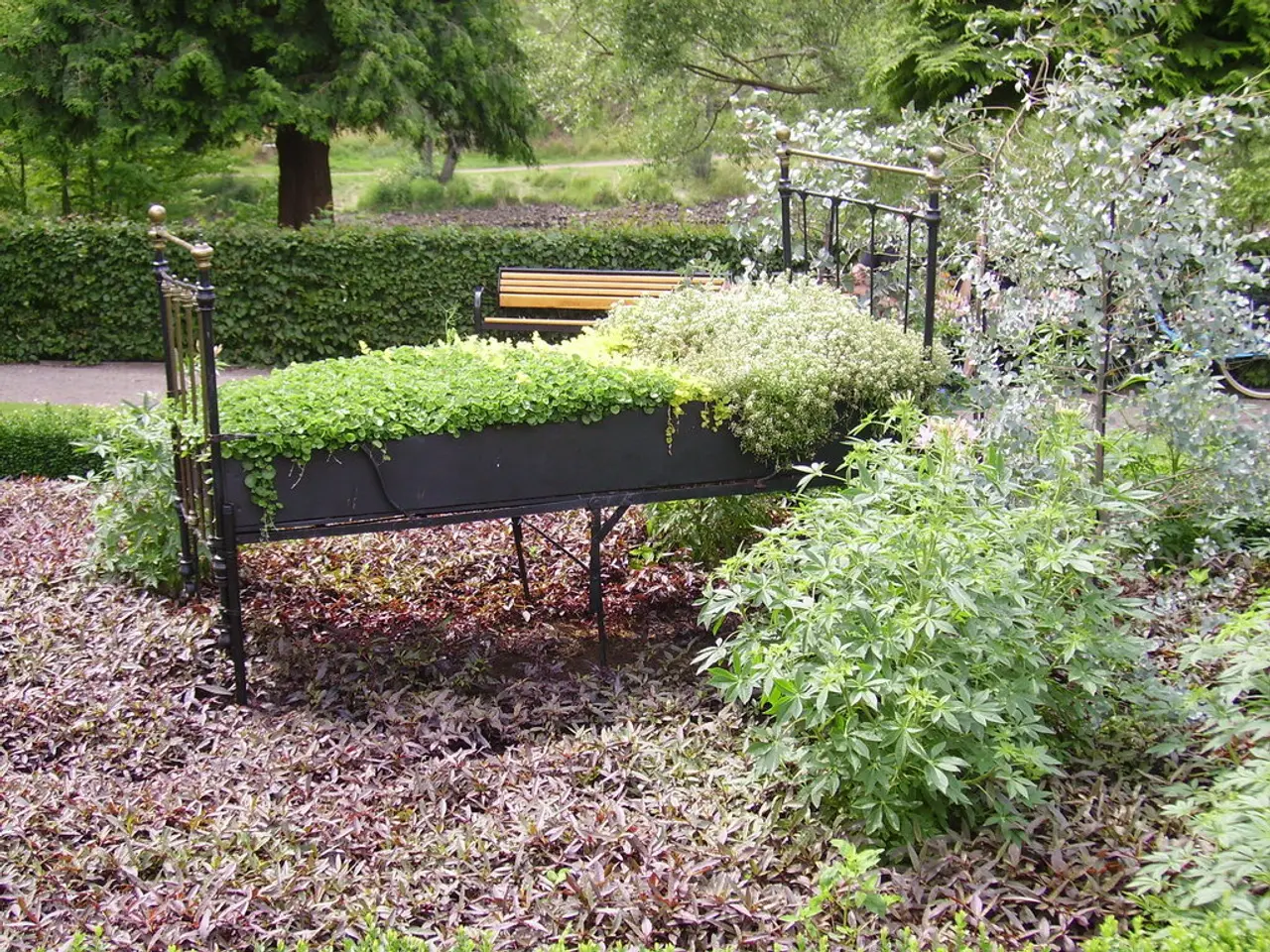 Inexpensive lattice setup ideal for training climbing plants