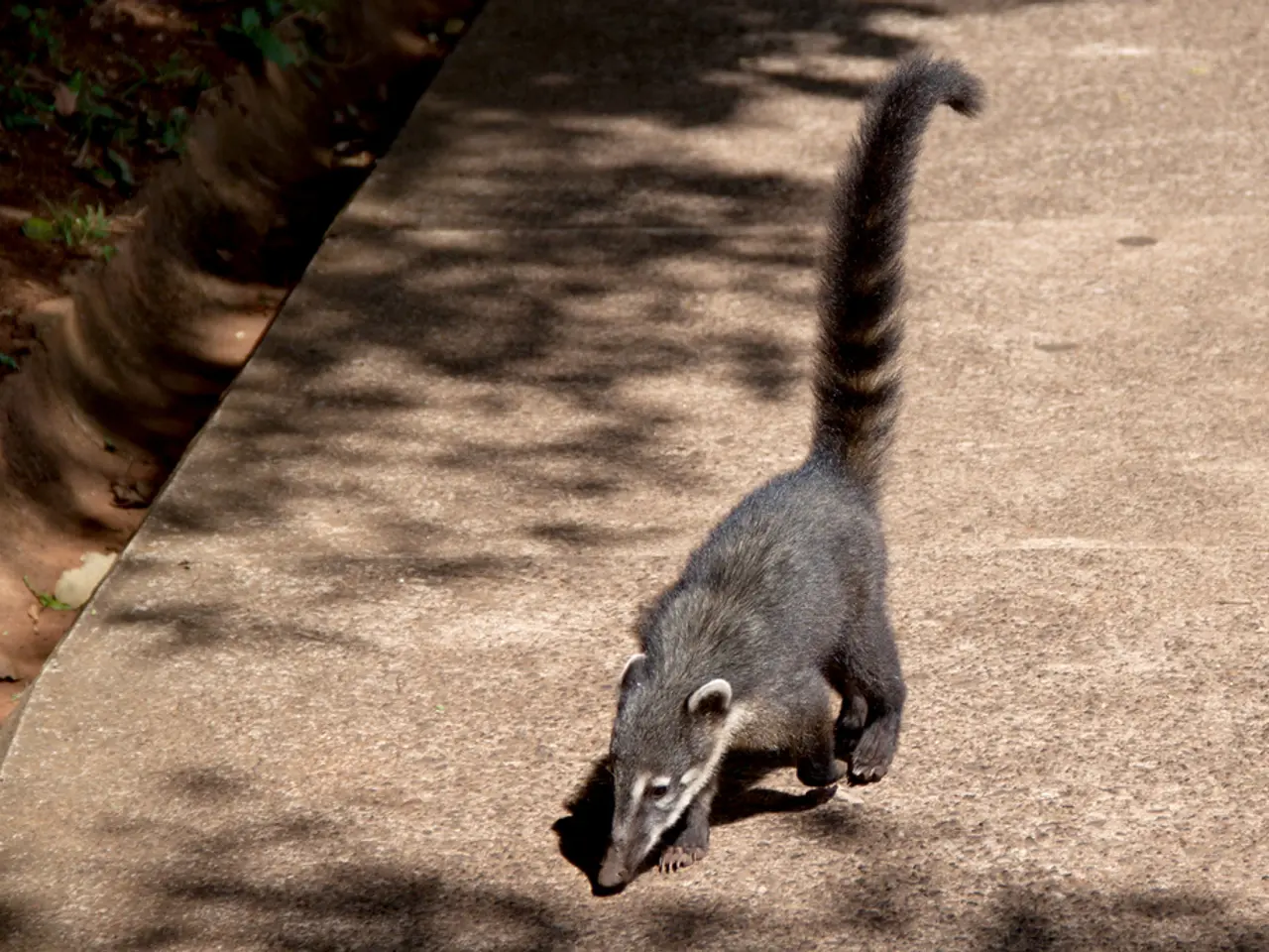 Throwing Up Guide: Causes and Recovery Strategies