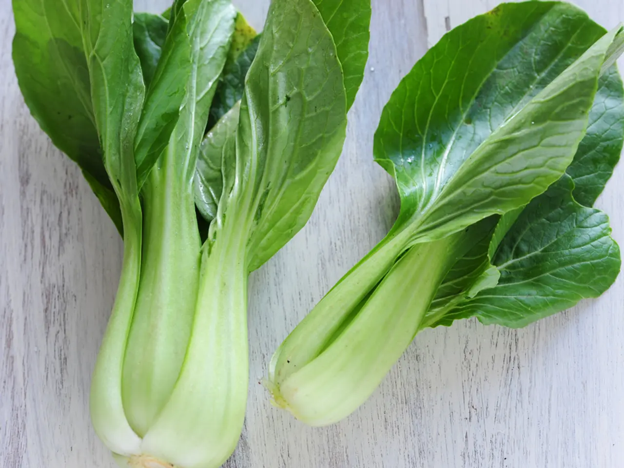 Spring Planting Guide: Picking the Right Seeds for a Flourishing Spring Garden