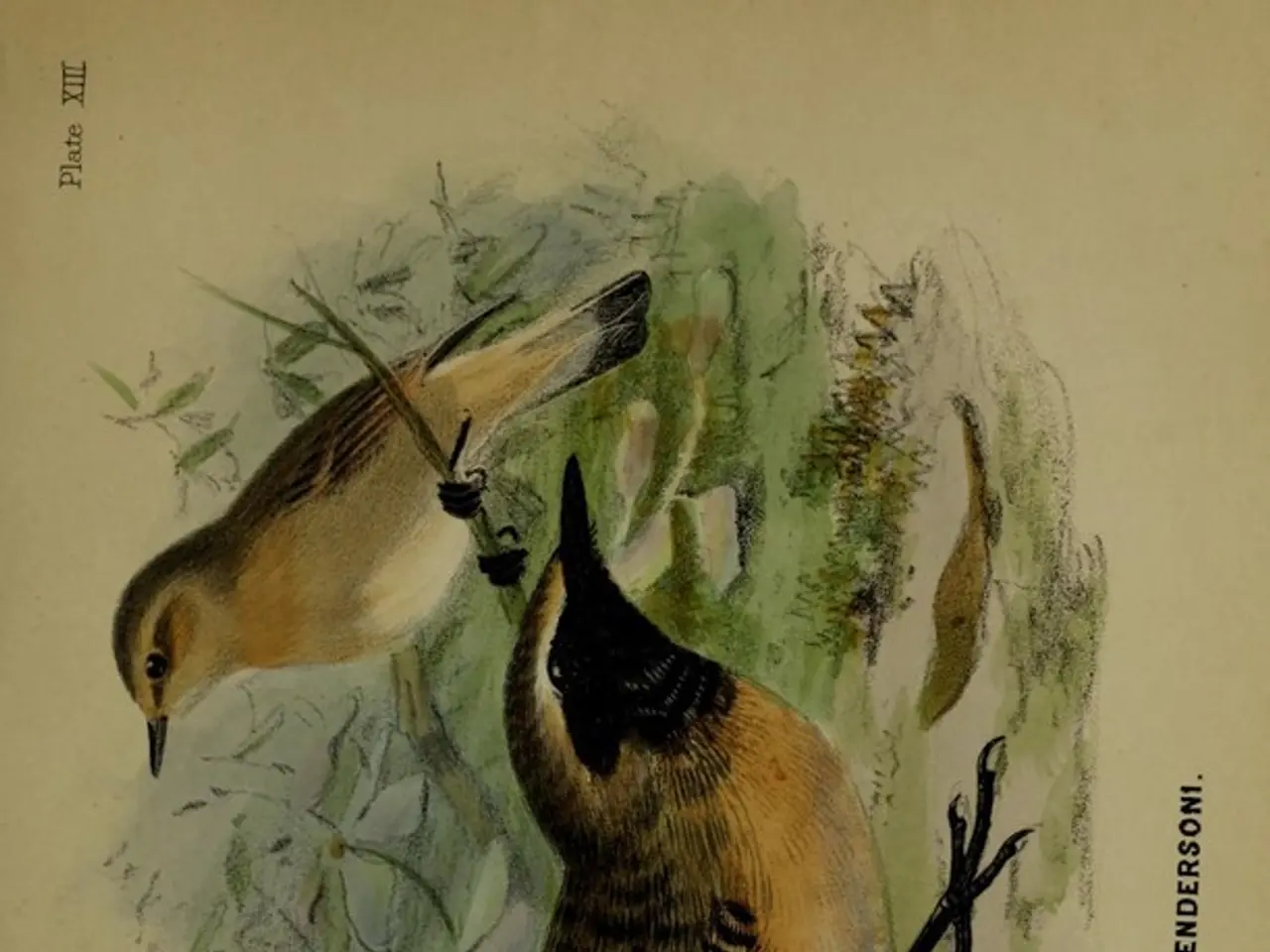 Top 10 Stunning Avian Species That Seem Otherworldly