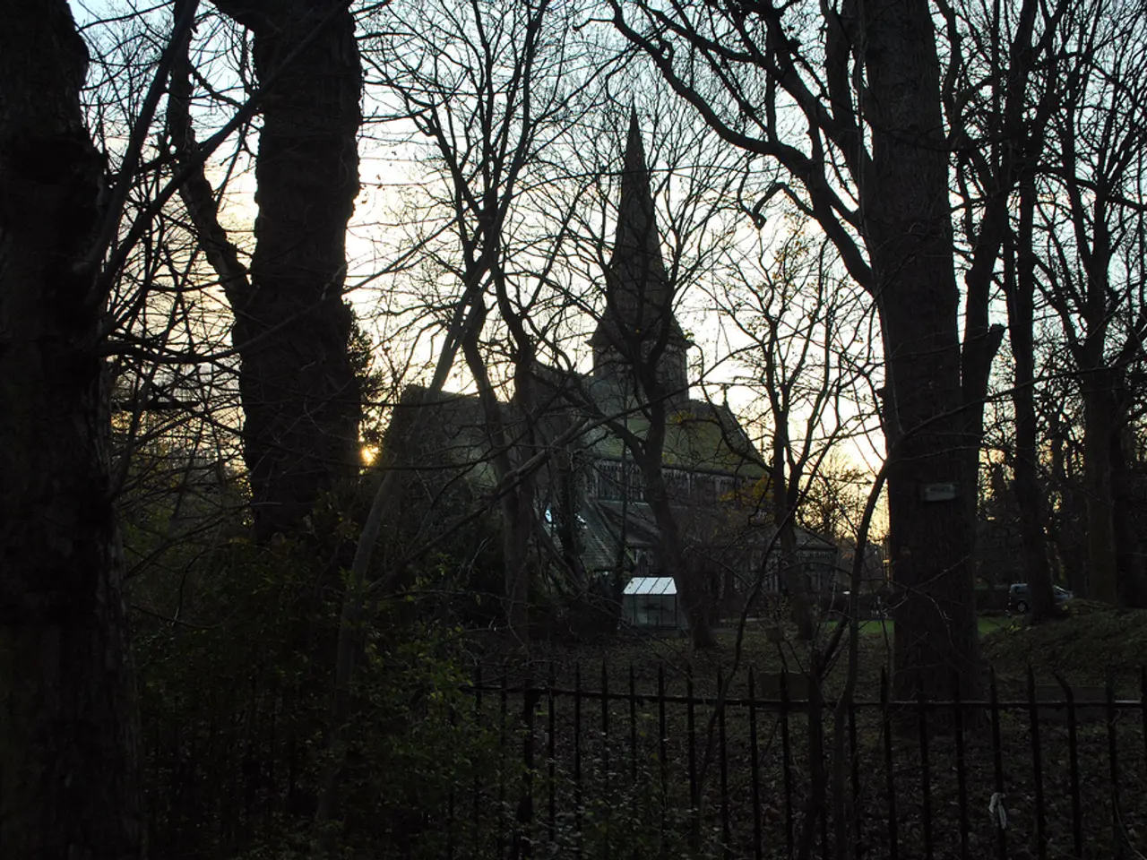 Domestic Air Floral Species to Enhance Your Living Space