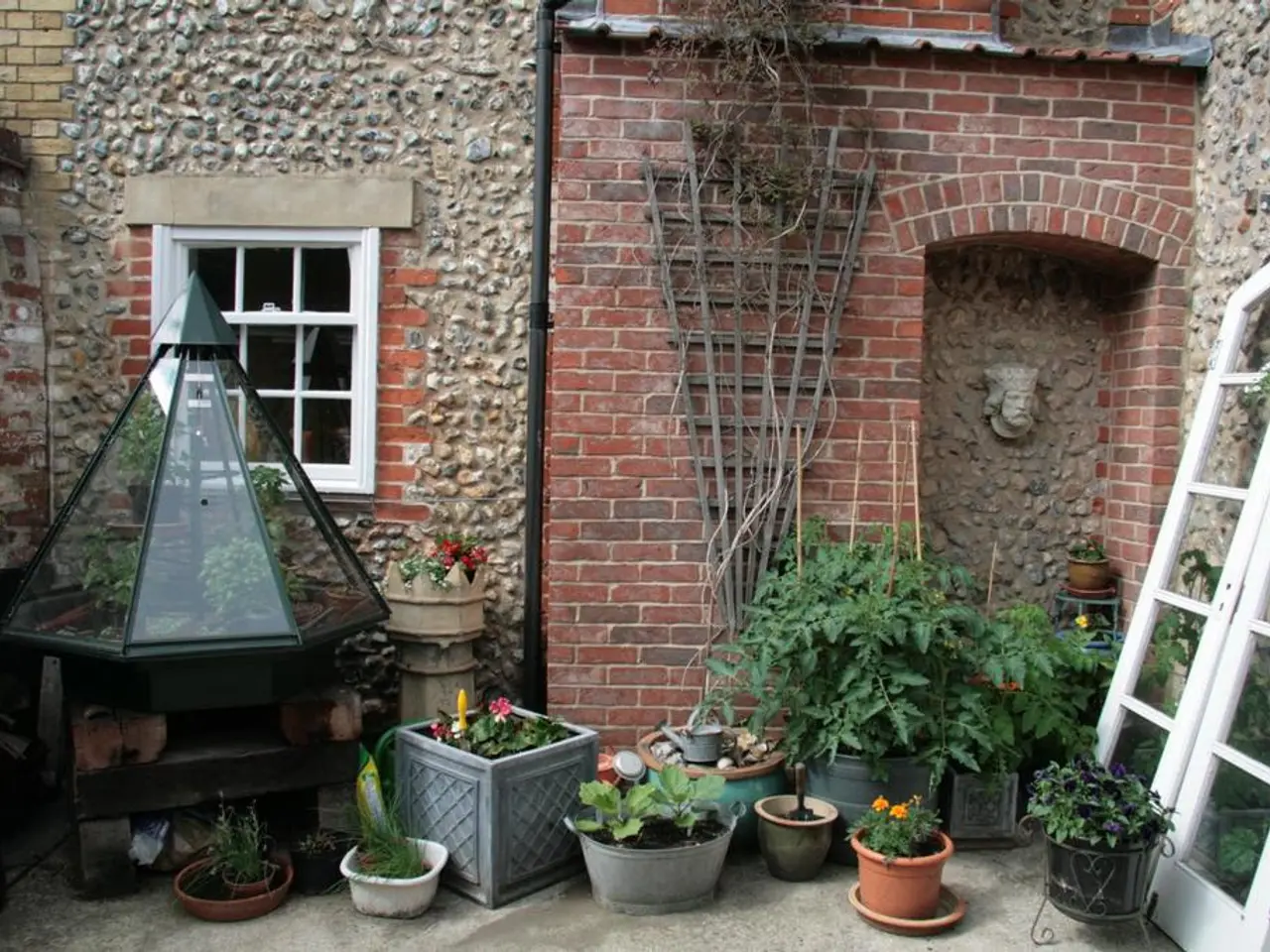 Reusing old tights for gardening this summer: a space-saving idea suggested by horticulture...