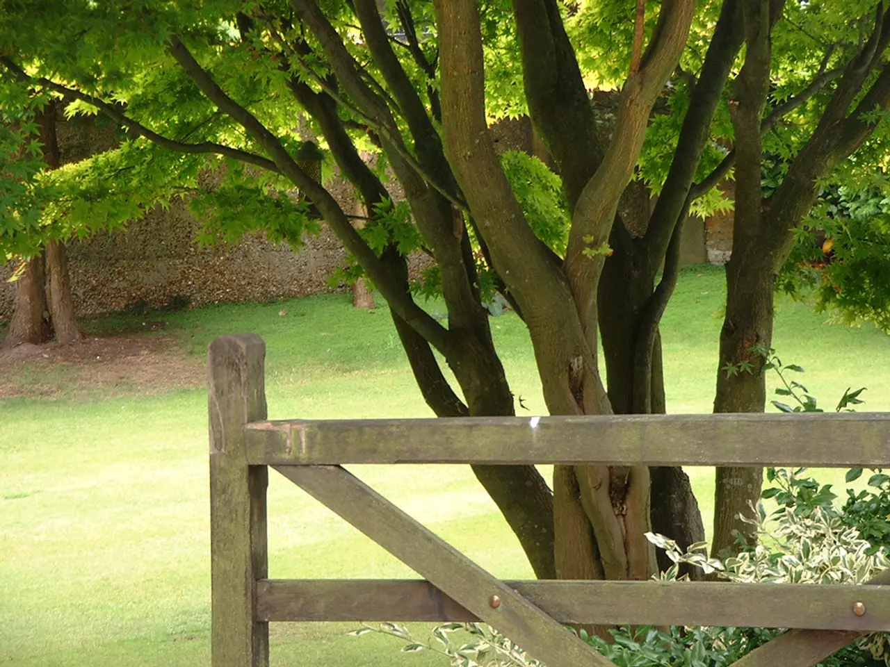 Urban Landscape Ecology's Role in Crafting Sustainable Metropolises