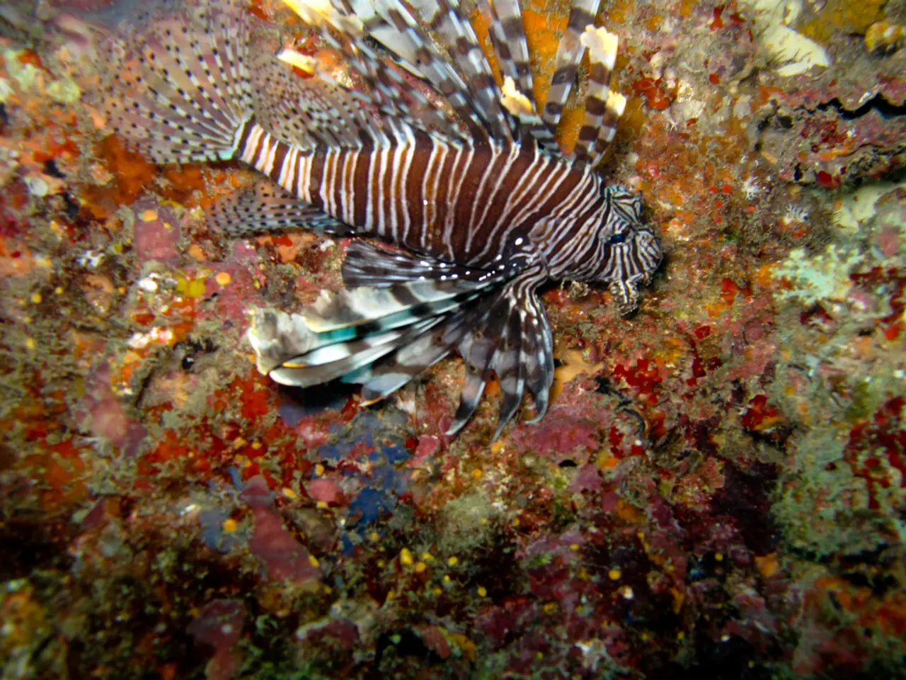 Cultivation Activities in the Woog Region