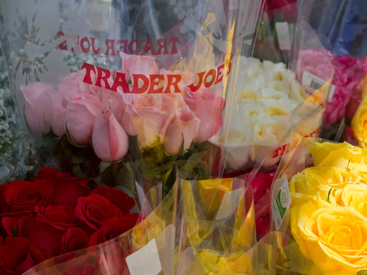 Thirty Thousand Varieties of Roses, Highlighted by Fifteen