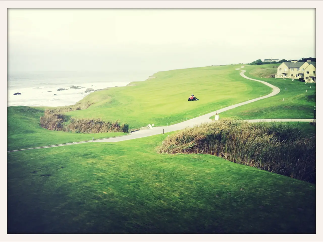 Upcoming TV Show: 2025 Citizens' Bus Anniversary Calendar Highlights Unveiled