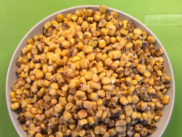 Best Places to Purchase Seeds for Your Garden