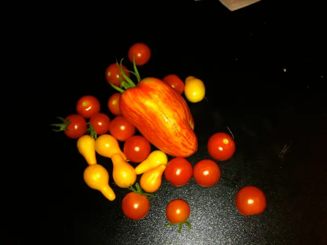 Avoid Germinating These Fruit Seeds, According to Experts' Advice