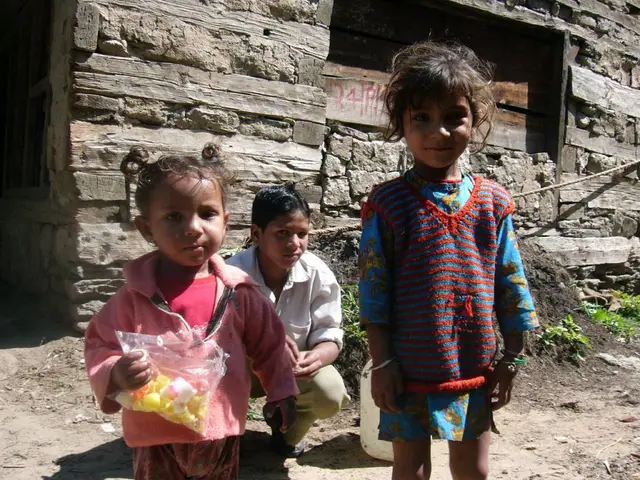 Transplanting Lilies: Expert Guidelines for When and How to Follow Through