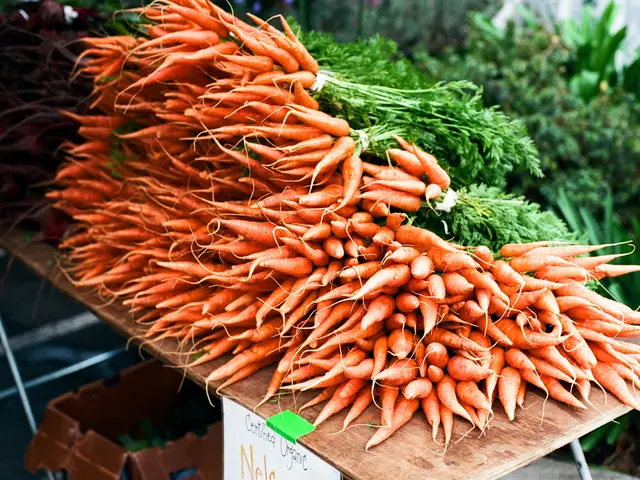 Ideal Sowing Time in Zone 6 for Abundant Carrot Harvest: Understanding the Perfect Moment for a...
