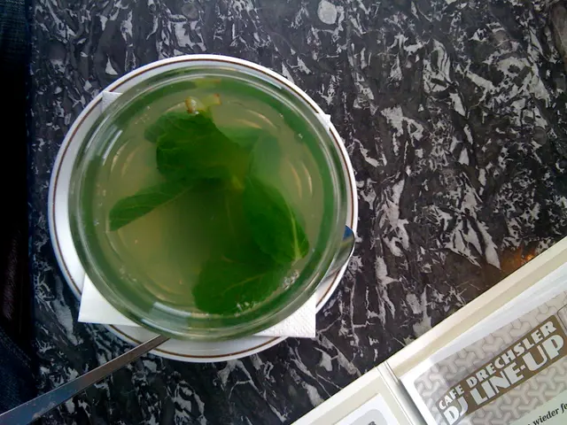 Ideal Soil Compositions for Vibrant Mint Growth