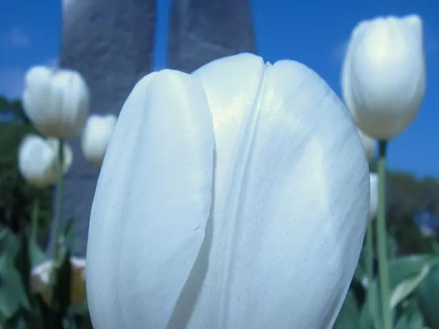 Maintain Your Miniature Greenhouse with an Autonomous Terrarium System