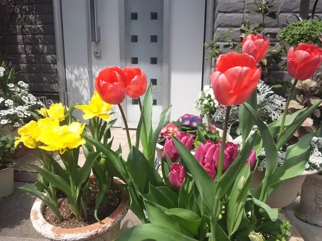 Gathers for the grand ceramics event in Val-David