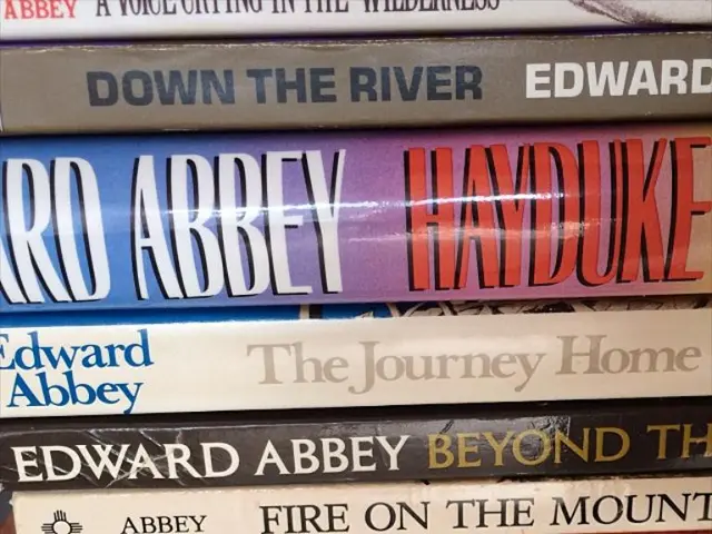 Books that Kept My Kids Engaged Throughout: 14 Illustrated Reads for Children