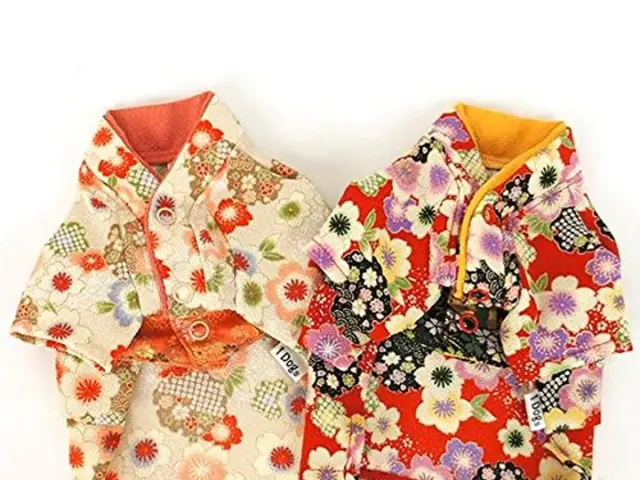 Summertime Fashion Essential: A Versatile $34 Dress for All Seasons