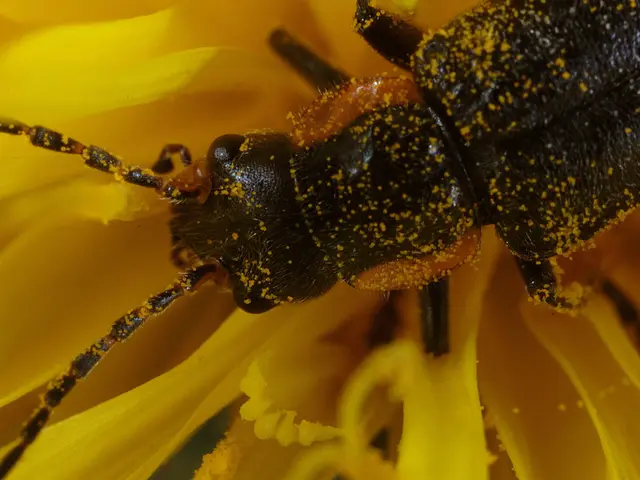 Proposal for Animal Protection in Scientific Experiments Solicited by the Commission