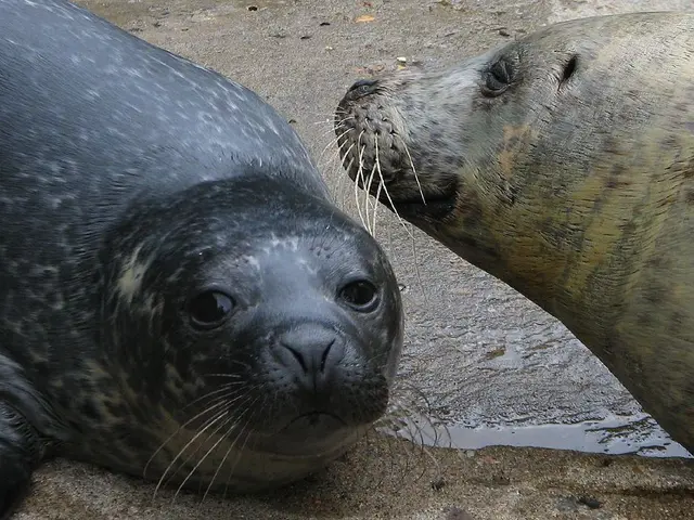 Leipzig Zoo Experiences Thick Air Condition