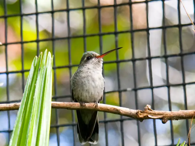 Garden Defense: These Vegetation Deter Ticks from Your Outdoor Space