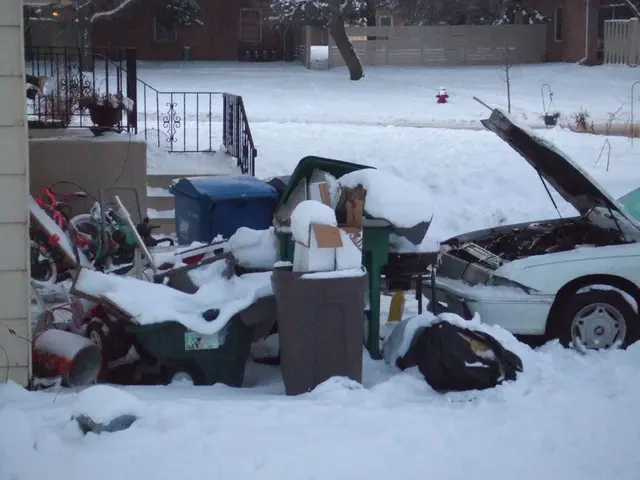 Avoiding Common Mistakes When Melting Ice from A Driveway - The One Approach Experts Warn Against