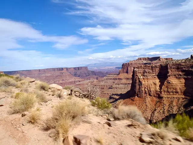 Unraveling Nutrient-Rich Soil Essential for Vibrant Shrubbery Cultivation