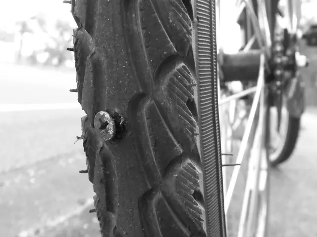 Adenomyosis: Its Symptoms, Causes, and Therapeutic Approaches