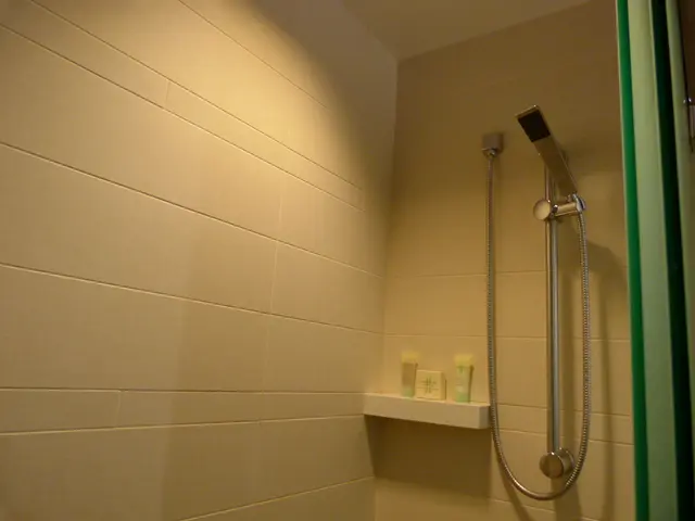 Berlin's public restrooms in disarray: Explanation of the sanitary issues