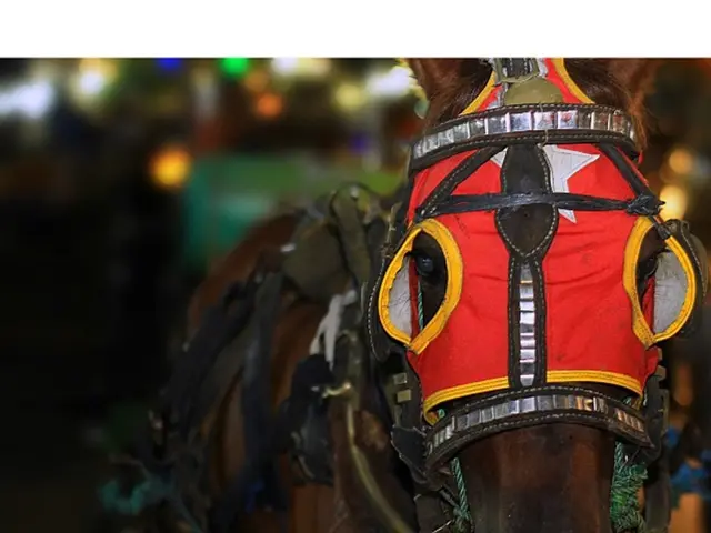 A contemporary abode in Montecito, crafted by an innovative architect, now available for purchase...