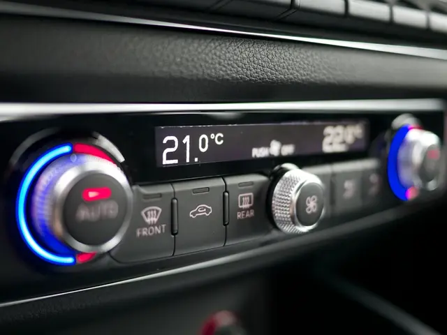 Unveiling the Subject Matter: A Brief Overview