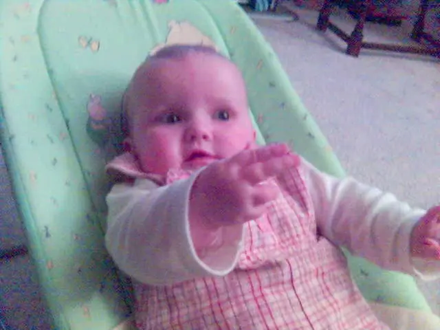 Surprisingly, a newborn emerges at Dresden Zoo