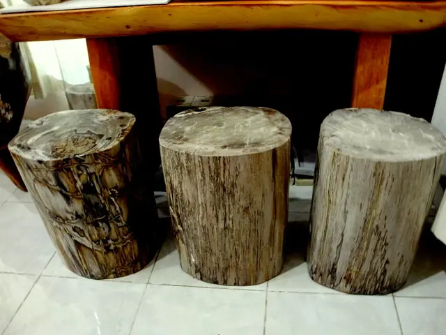 Analysis of Air-Drying Hardwood Timber