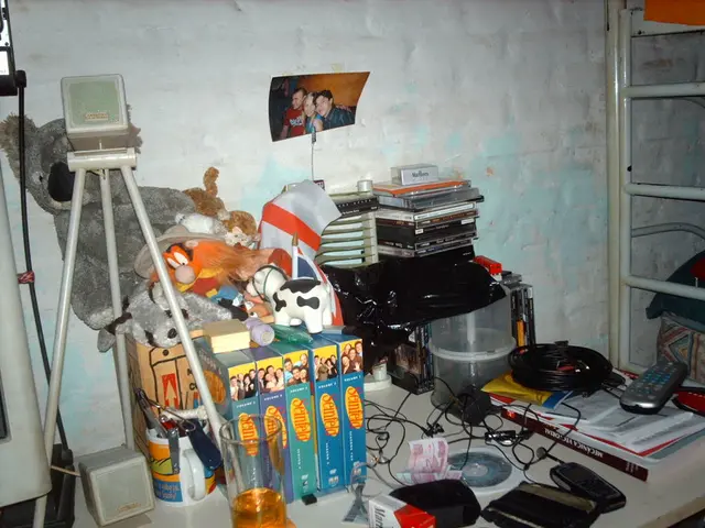 Encouraging Cognitive Wellness in the Elderly: Local Initiatives and Resources for Assistance