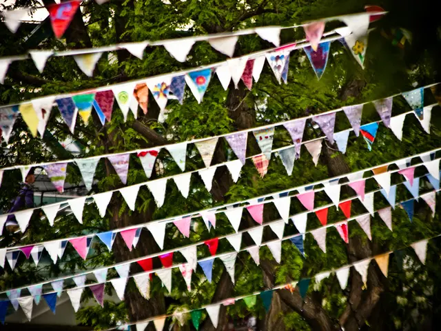 Timber company Miro from Africa receives financial backing from an impact investor