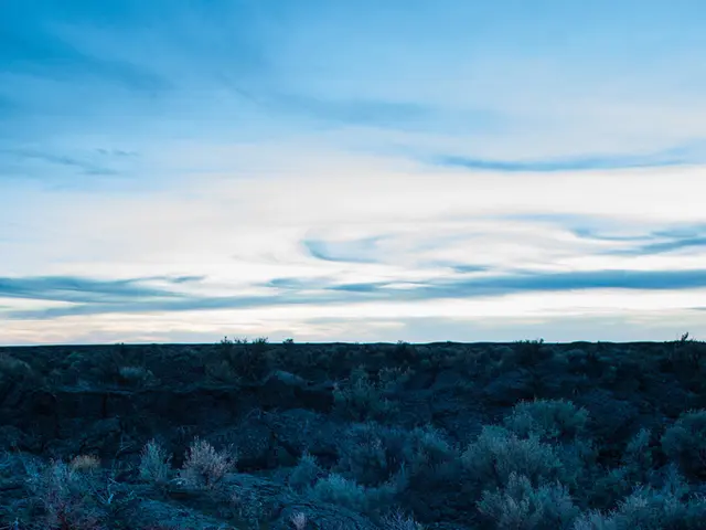 Prepared Camping Meals You Can Cook Ahead of Time, Simplifying Your Camp Kitchen Experiences