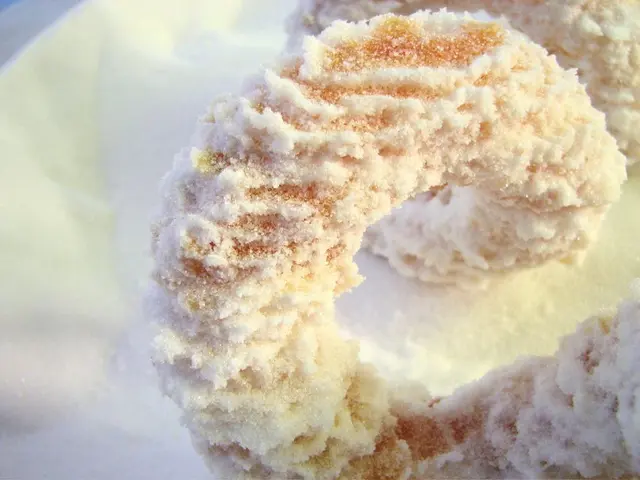 Must-Have Wardrobe Essential: White Hoodie, A Fashion Necessity