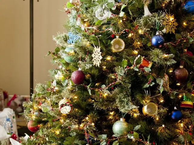 Five Compelling Reasons That Make Plants Ideal for Corporate Gift-Giving