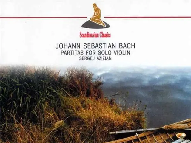 Paddleboarding T-Shirts for Sale