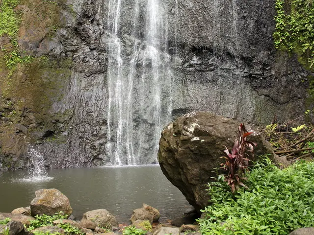 Cultivation Assistance: Techniques for Propagating Jade Plants