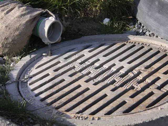 A French drain—a solution to prevent your garden from being drenched in floodwaters—explained