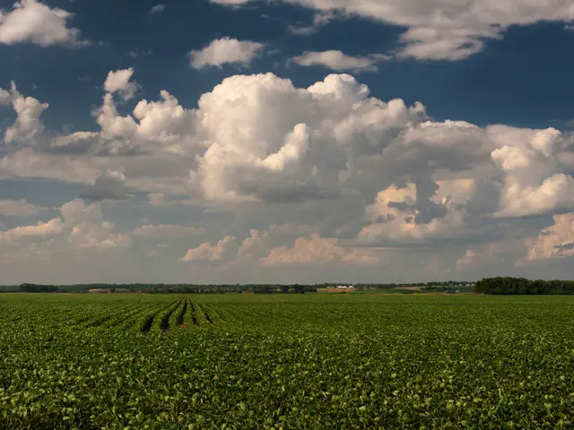 Exploring Flat Lay Photography: A Comprehensive Guide for WordPress's Photo Directory