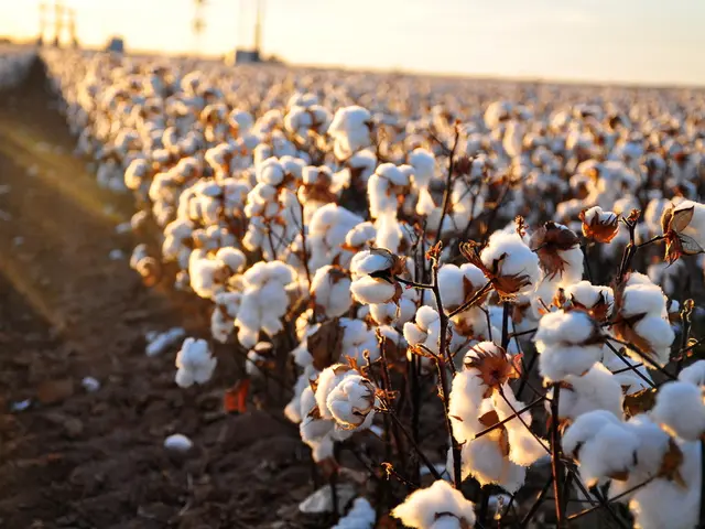 Is it Essential for Linen to be Naturally Derived?