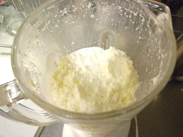 Dilemma Between Blender and Food Processor: Which Appliance Suits Your Needs Best?