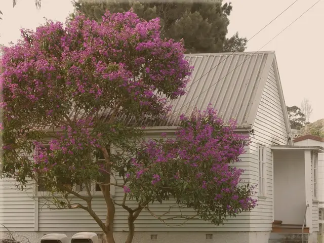 Explore the Advantages of Utilizing Elevated Garden Beds Fitted with Trellises - Alongside Alluring...