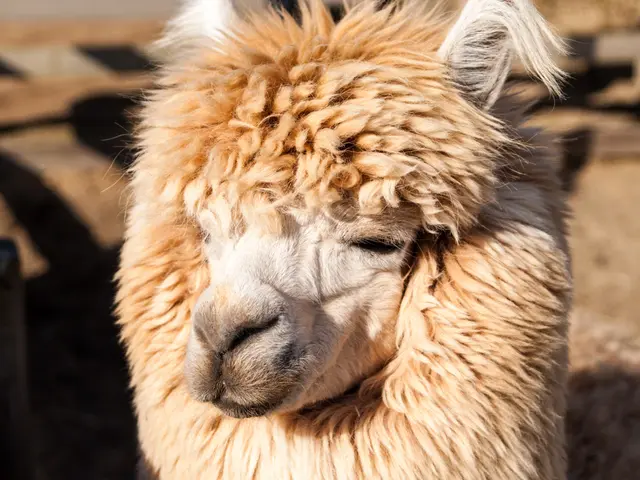 Italian tourists are encountering something entirely unprecedented.