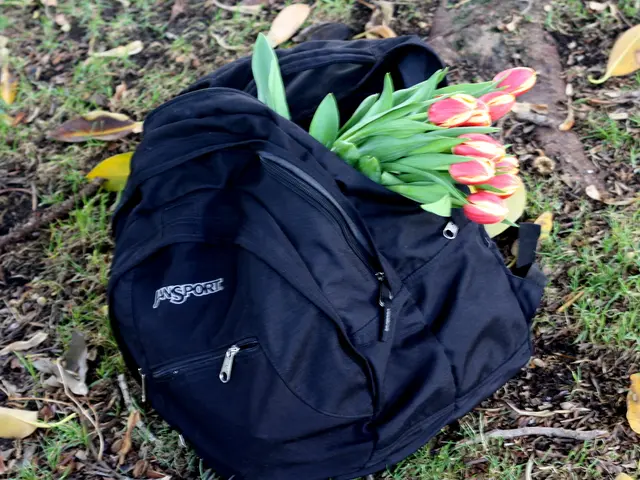 Uncovering Ideal Grow Bags for Optimal Plant Growth