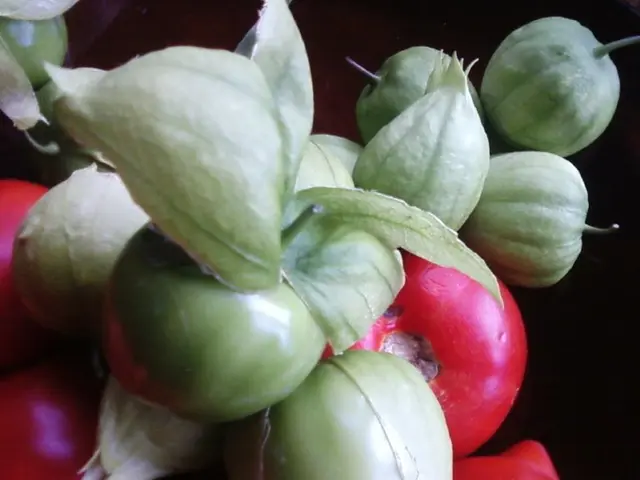 Rotational Agricultural Practices