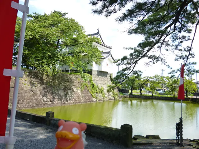 Expectations at Camping Park Kalkar-Wissel: A Look into Camper Wishes