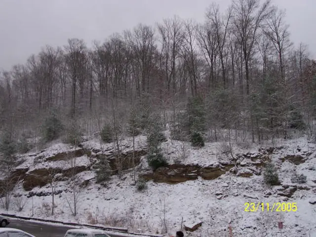 Snowy Walks Near Eslarn Wildlife Park's Front Yard
