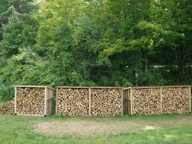 Choosing the Perfect Timber for Elevated Planting Boxes: Picking the Ideal Option for Your...